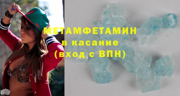 трава Аркадак