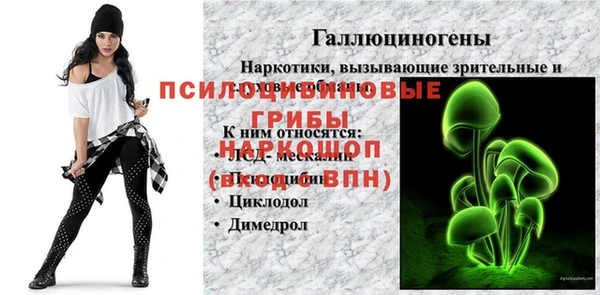 кокс Арсеньев