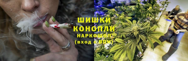 трава Аркадак